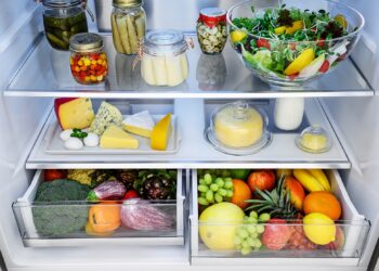Refrigerador Professional Duo - Tecno - Imagem 3
